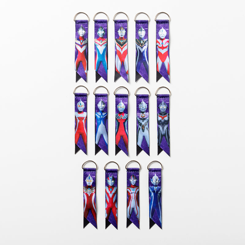 ランダムボンフィンストラップ vol.2 全14種 コンプリートセット