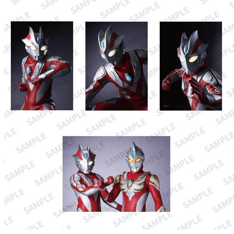 ブロマイド ウルトラマンマックス＆ウルトラマンゼノン