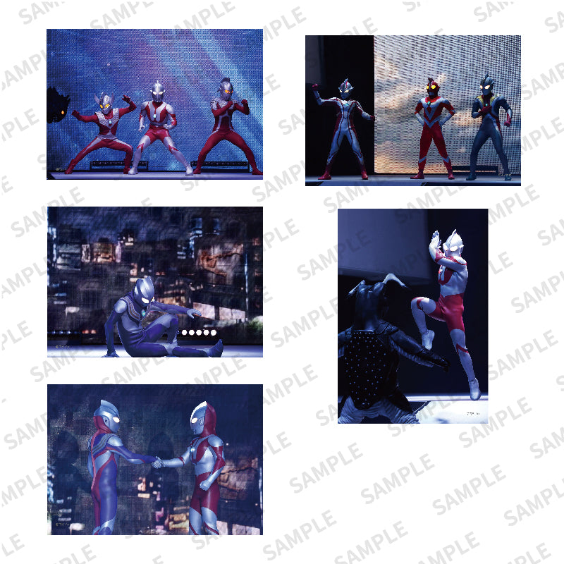 ブロマイド – TSUBURAYA STORE ONLINE